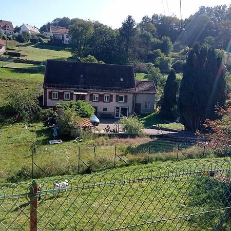 My Zen Thal Bed & Breakfast Meisenthal Dış mekan fotoğraf